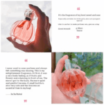 果香花香女士香水｜持久留香·清新迷人 50ml：圖片 5